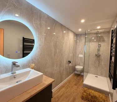 Gondrecourt-le-Chateau Apartment | la Résidence Jacquinot