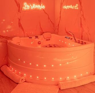 Vierzon Apartment | La Rêverie : Sauna Privé Jacuzzi et Table Massage