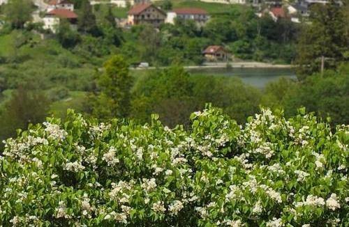 Villers-le-Lac Bed & Breakfast | La Re Source Chambres et table d'hôtes