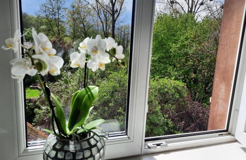 Reichshoffen Bed & Breakfast | La Renardière