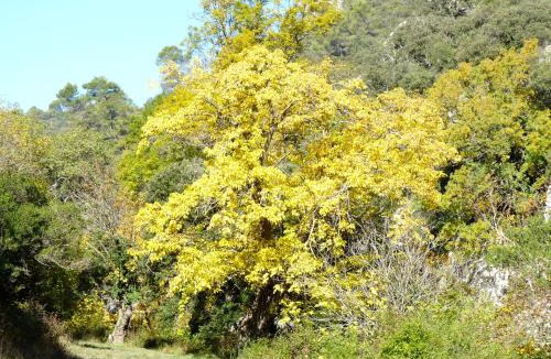 Bonnieux Bed & Breakfast | La Ressence Luberon