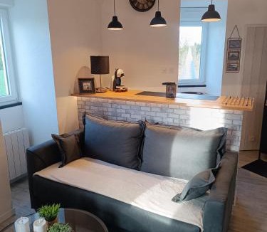 Montauban-de-Bretagne Apartment | La Ribaudière Castle