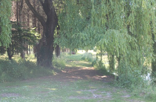 Deneze-sous-le-Lude House | La Rocaille at La Cerniére with shared Pool
