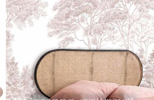 Saint-Mathurin-sur-Loire House | La ROCHE D'ANJOU