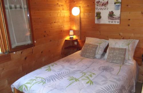 Saint-More Ski Chalet | La Roche du Moulin