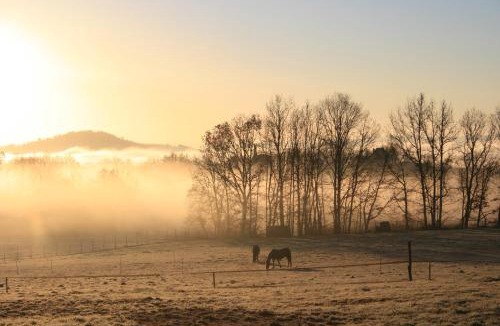 Limeuil Bed & Breakfast | La Rolandie Haute