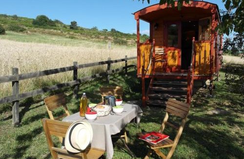 Palogneux Bed & Breakfast | La roulotte à la ferme