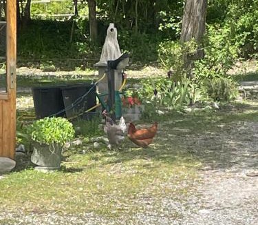 Veynes Other | la roulotte chez Camille