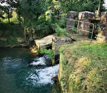 Chessy-les-Pres Other | La roulotte de l'étang