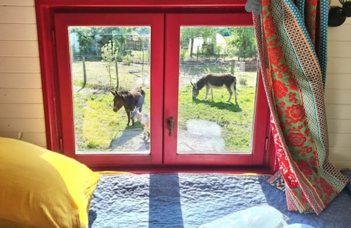 Muncq-Nieurlet Apartment | La Roulotte des Ânes