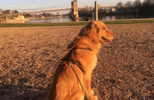 Massieux House | La Roulotte des Bords de Saône