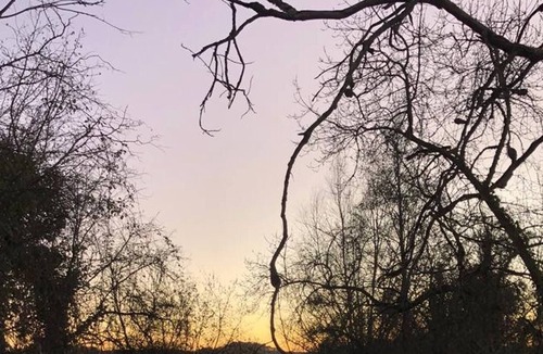 Le Vieil-Bauge House | La Roulotte Du Moulin De Palet 5