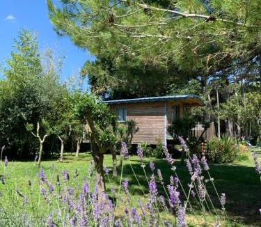 Montesquieu-Lauragais Apartment | La Roulotte de Negra