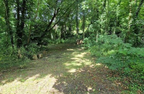 Flavacourt House | La Sérénité des Arbres