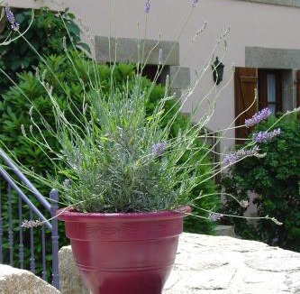 Saint-Nicolas des Eaux House | La Sabotiere