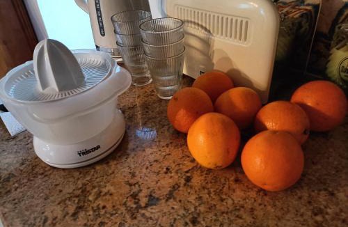 Montastruc-de-Salies House | La salamandre de l'escat