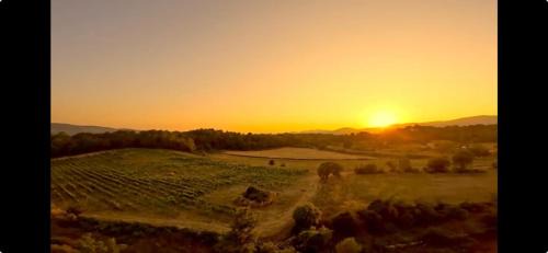 Saint-Paul-en-Foret Bed & Breakfast | La Salamandre en Provence