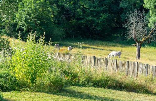 Vif Bed & Breakfast | La Santon Chambres d'hôtes