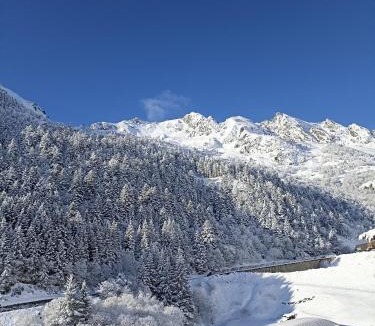 Espiaube Hotel | La Sapinière St Lary Soulan