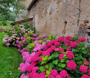 Etrigny House | La Saugeraie