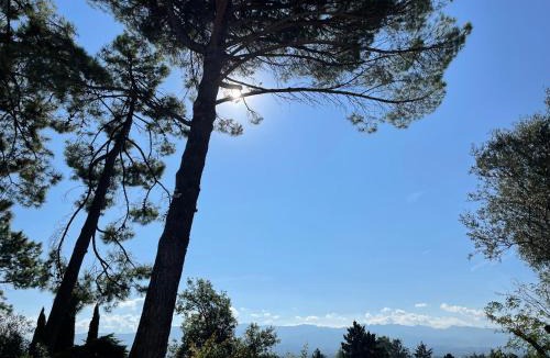 Mours-Saint-Eusebe Bed & Breakfast | La Sauveterre