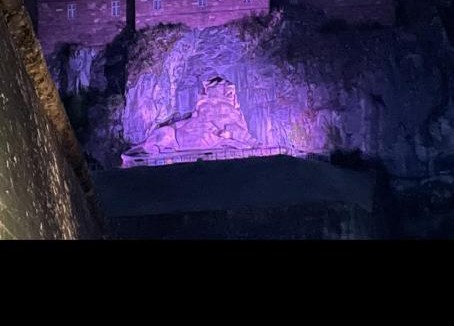 Belfort Villa | La Savoureuse