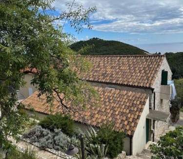 Mljet House | La scuola di Anna
