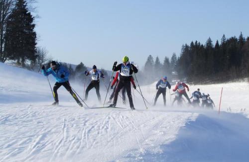 Premanon Apartment | La Serre Nelly Philippe