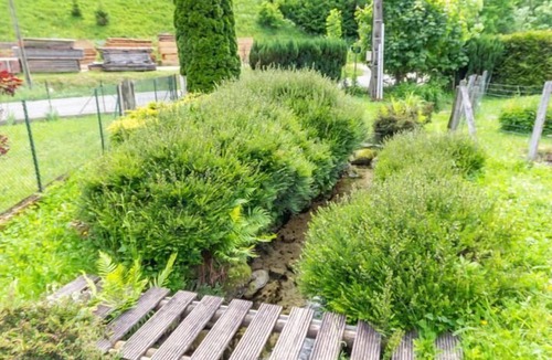 Saint-Pierre-d'Entremont House | LA SOURCE - SAINT PIERRE D'ENTREMONT