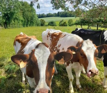 Angoville House | La Source