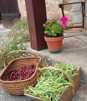 Saint-Amand-Magnazeix Bed & Breakfast | La Source