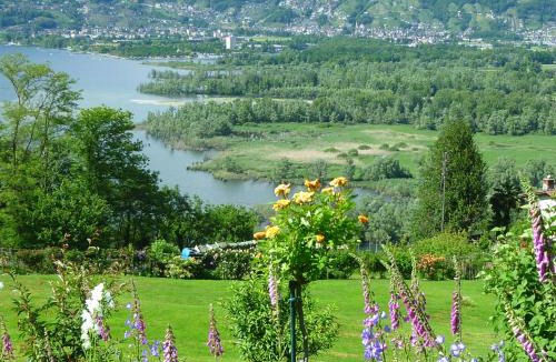 Magadino House | La Stalla