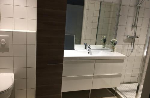 Nancy City Centre House | La Suite Alain