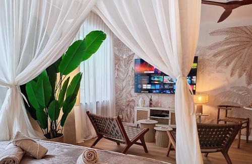 La Roche-sur-Yon Apartment | La Suite BALI, Charme et Confort, Hyper centre