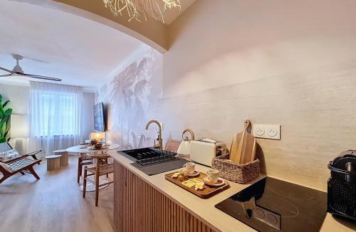 La Roche-sur-Yon Apartment | La Suite BALI, Charme et Confort, Hyper centre