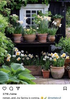 Cany-Barville Apartment | La suite & Caux 2