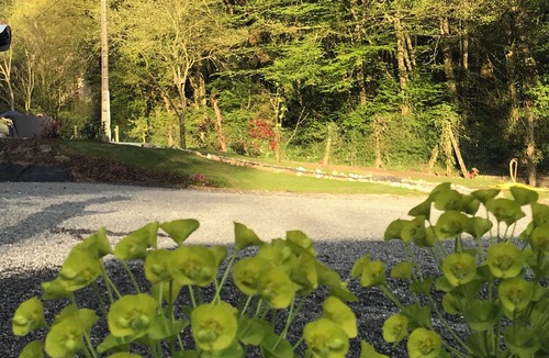 Rochecorbon House | La Suite de Sophie Quiet, modern, spacious gîte.