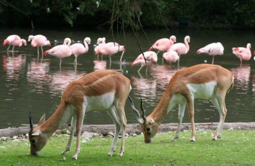 Sierville Apartment | La Suite du Hameau