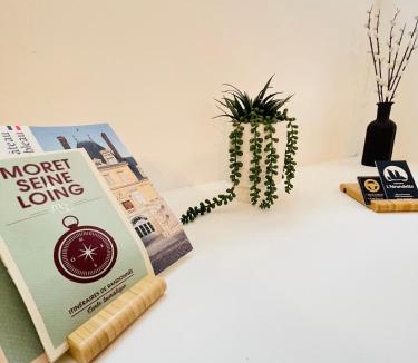 Fontainebleau Apartment | La Suite du Palais - Cozy - Netflix