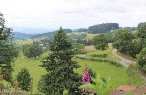 Saint-Bonnet-le-Troncy Hotel | La table du Musée