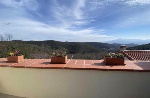Taillet Apartment | La terrasse des oiseaux