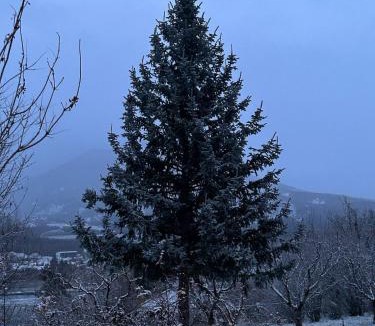 Vitrolles Apartment | La Terrasse du Serre