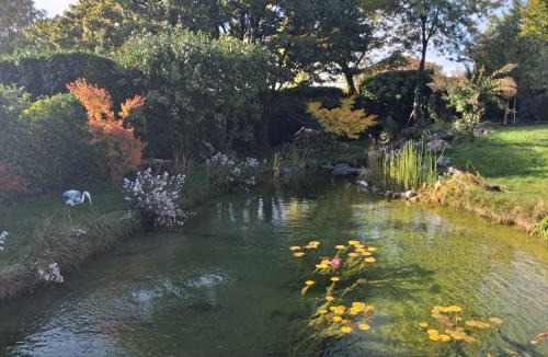 Lumbin House | la terrasse sur l'eau