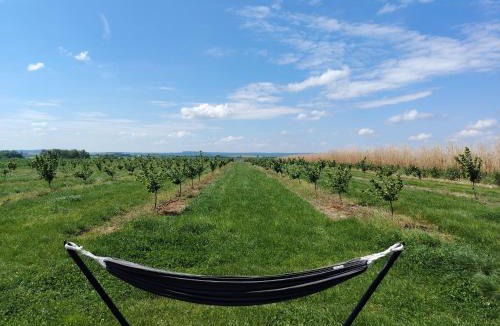 Bregy House | La Tiny House de l'Ouchette