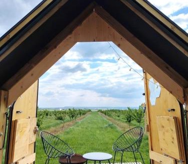 Bregy House | La Tiny House de l'Ouchette