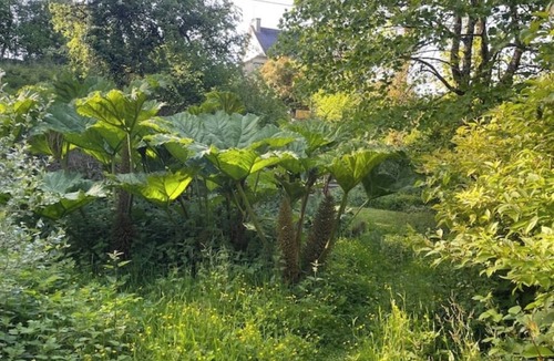 Ploeuc-l'Hermitage Boat Rental | La Toue de Coeur.