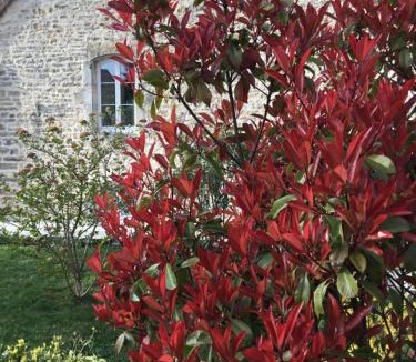 Chateau-Chalon Bed & Breakfast | La Tour Charlemagne