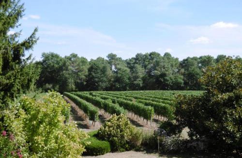 Betbezer-d'Armagnac House | La tour du manoir