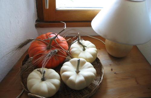 Rochefort-sur-Loire Bed & Breakfast | La Tour du Moulin Géant