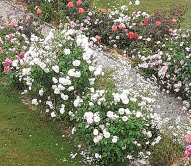 Gesvres Bed & Breakfast | La Trémouchère